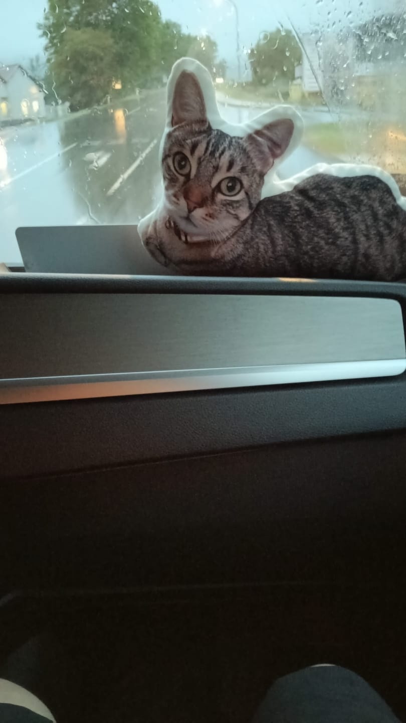 Customer photo review of Personalisiertes Formkissen - Dein Foto mit Katze
