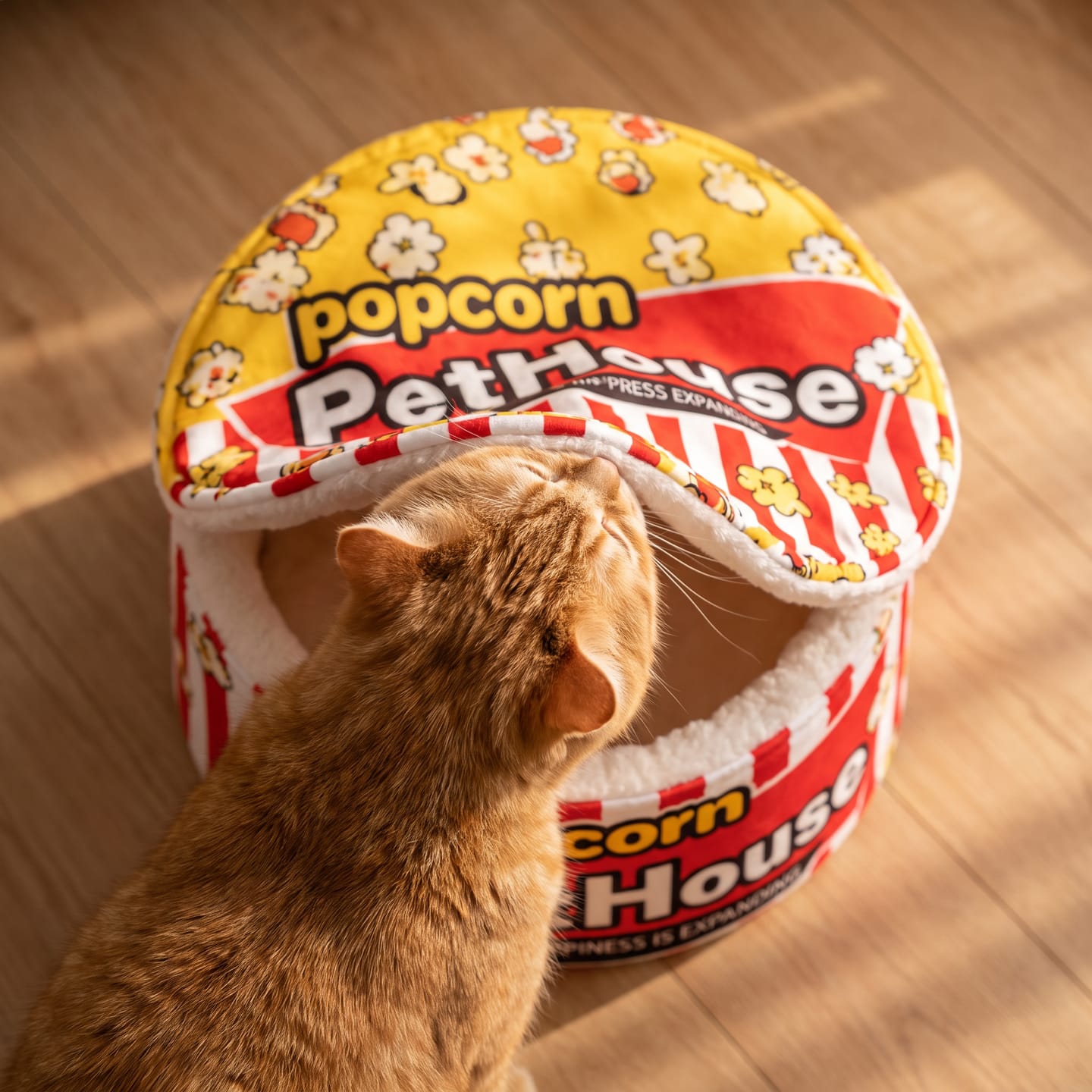 Customer photo review of Cama PopCorn para tu gato