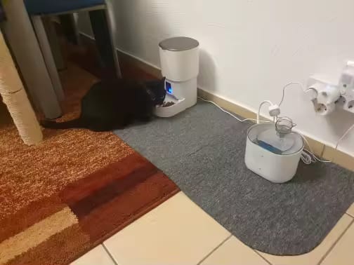 Customer photo review of PawFeed - WiFi Smart Pet Feeder