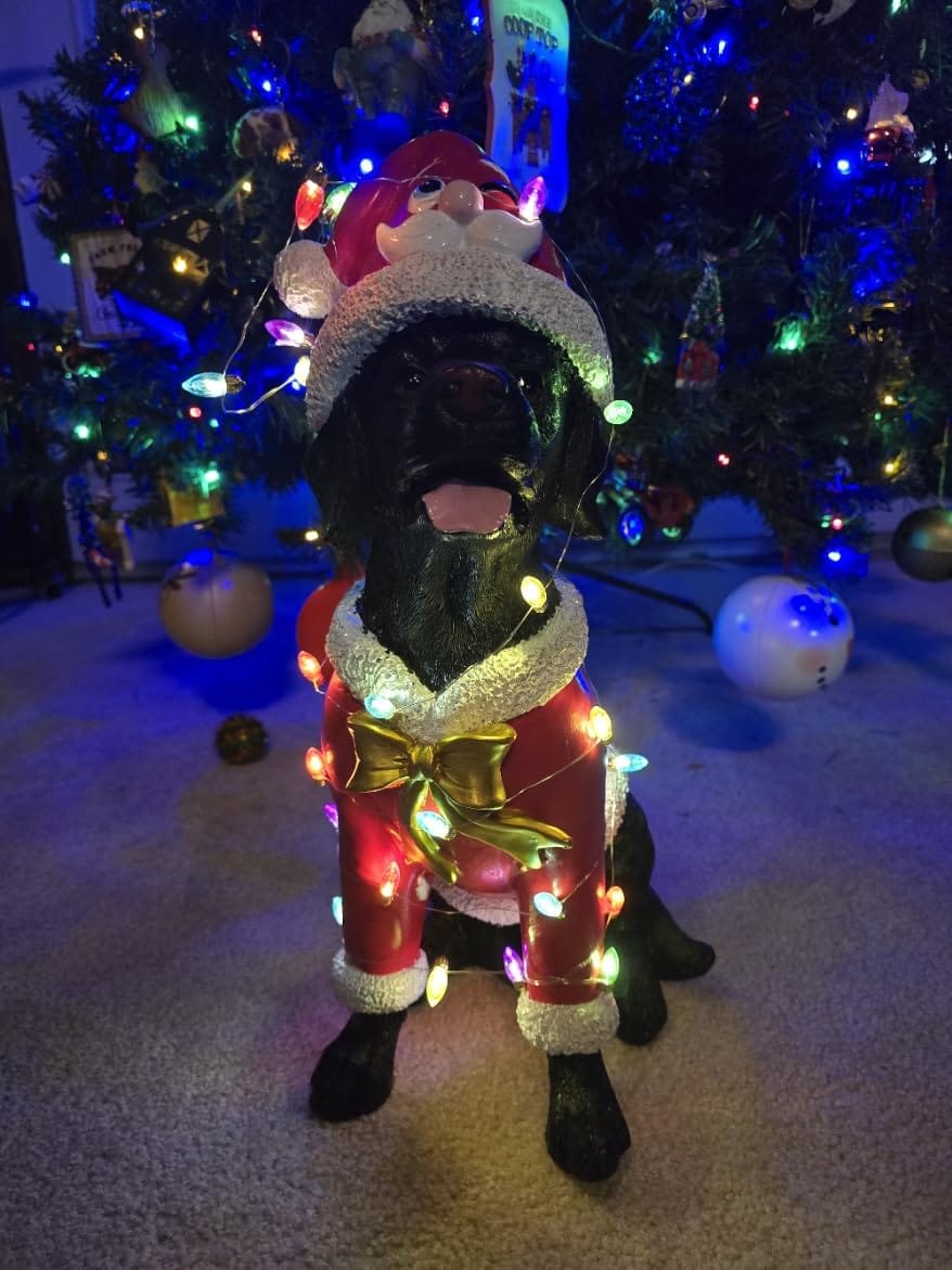 Customer photo review of Christmas Black Labrador Statue, Holiday Dog Figurine in Red Santa Outfit