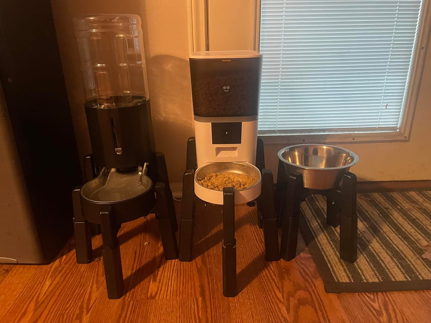 Customer photo review of PawCam - Automatic Pet Feeder with HD Camera