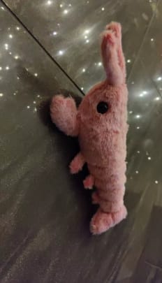 Customer photo review of Peluche langosta con movimiento para mascotas