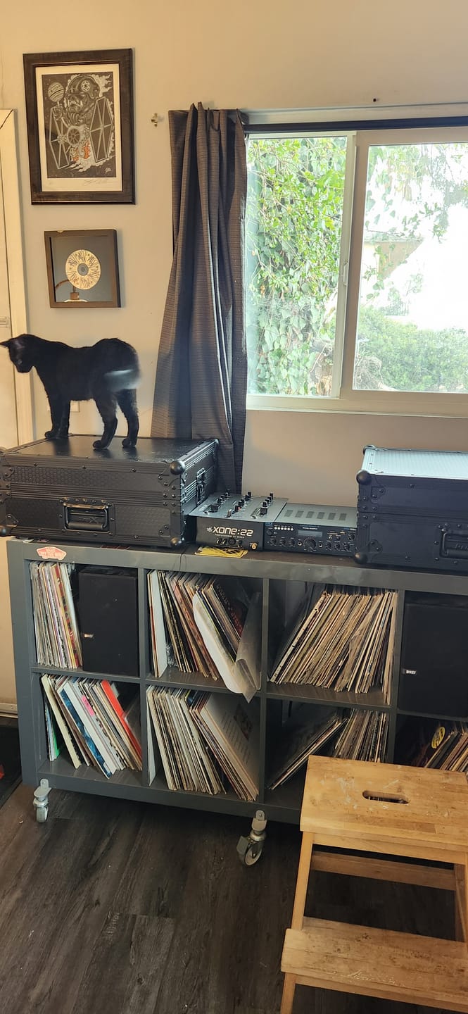 Customer photo review of ProX T-TTBL Turntable Cases For Numark/Stanton/Technics/Pione - 2-Pack