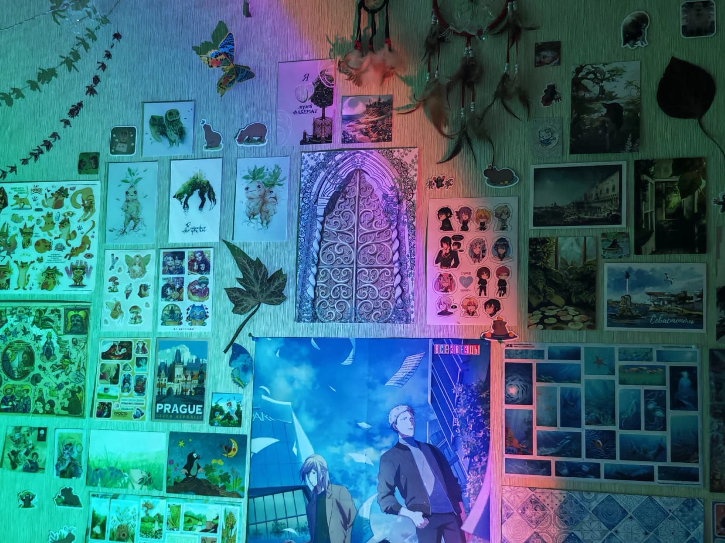 Customer photo review of Light Projector RGB