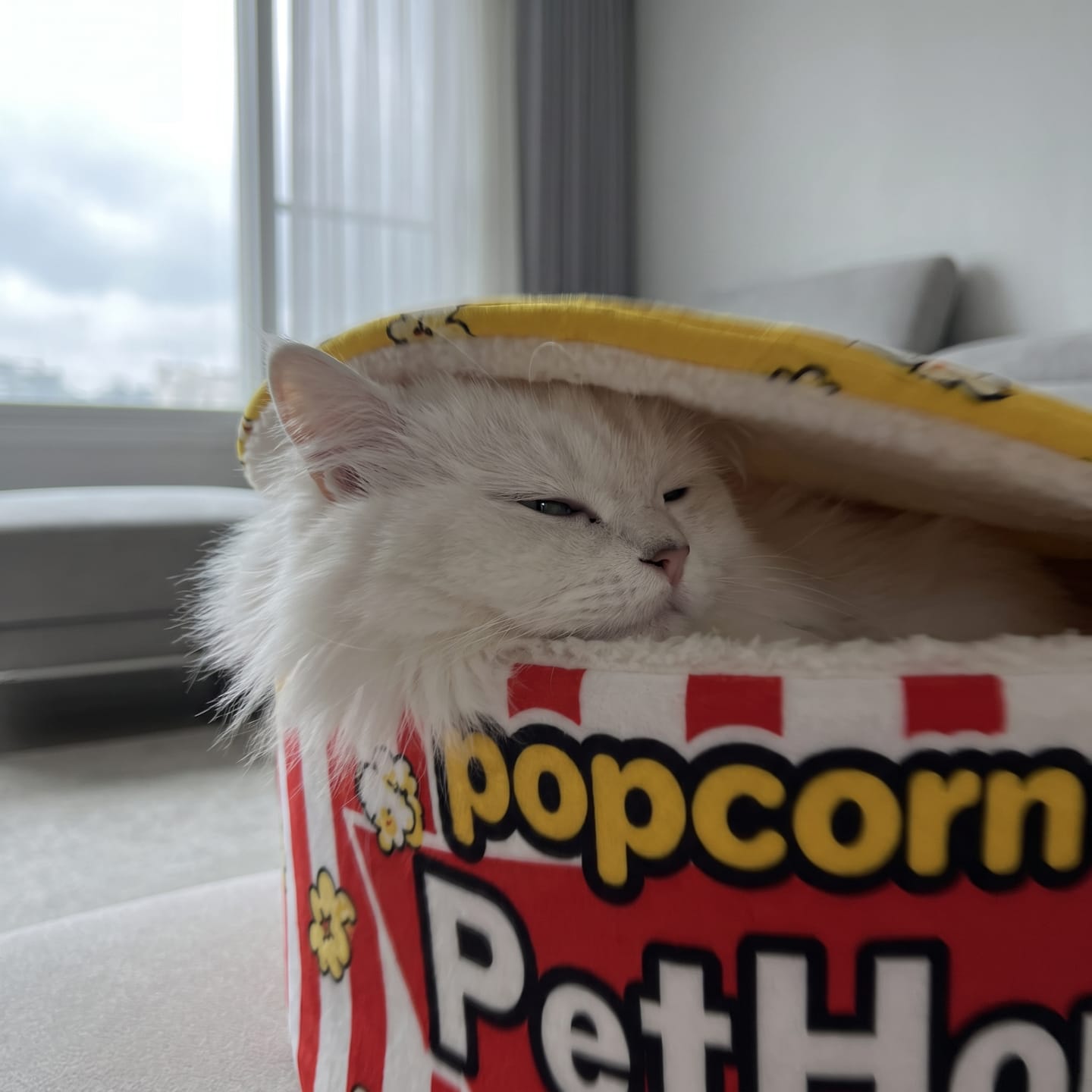 Customer photo review of Cama PopCorn para tu gato