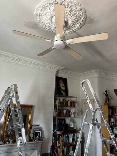 Customer's Mistral ceiling fan installed on a ceiling with decorative moulding, viewed from below with ladders visible.