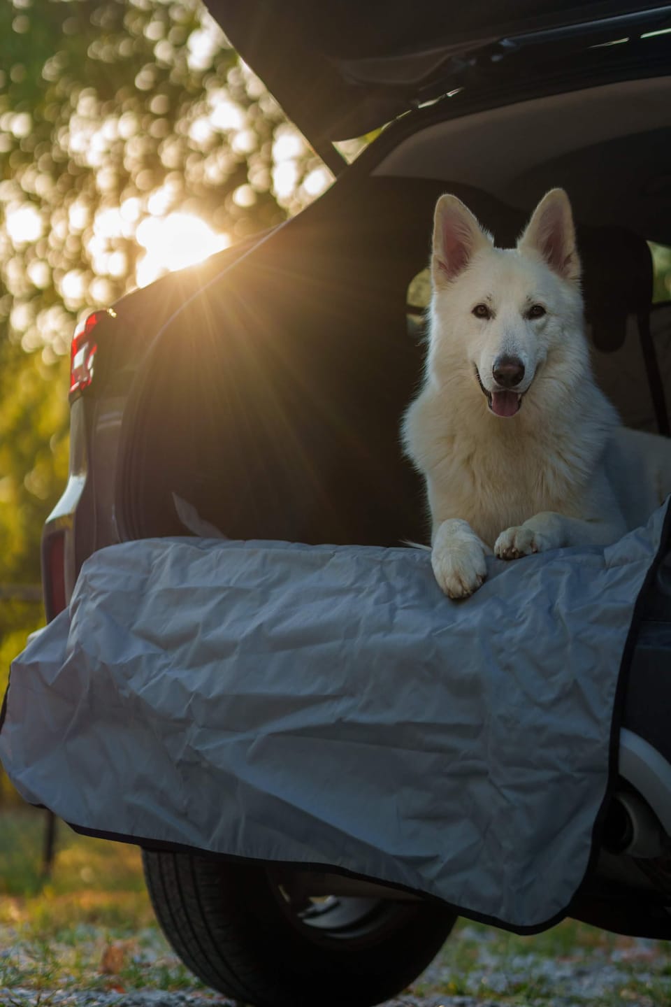 Customer photo review of SUV Cargo Liner for Fold Down Seats - Large