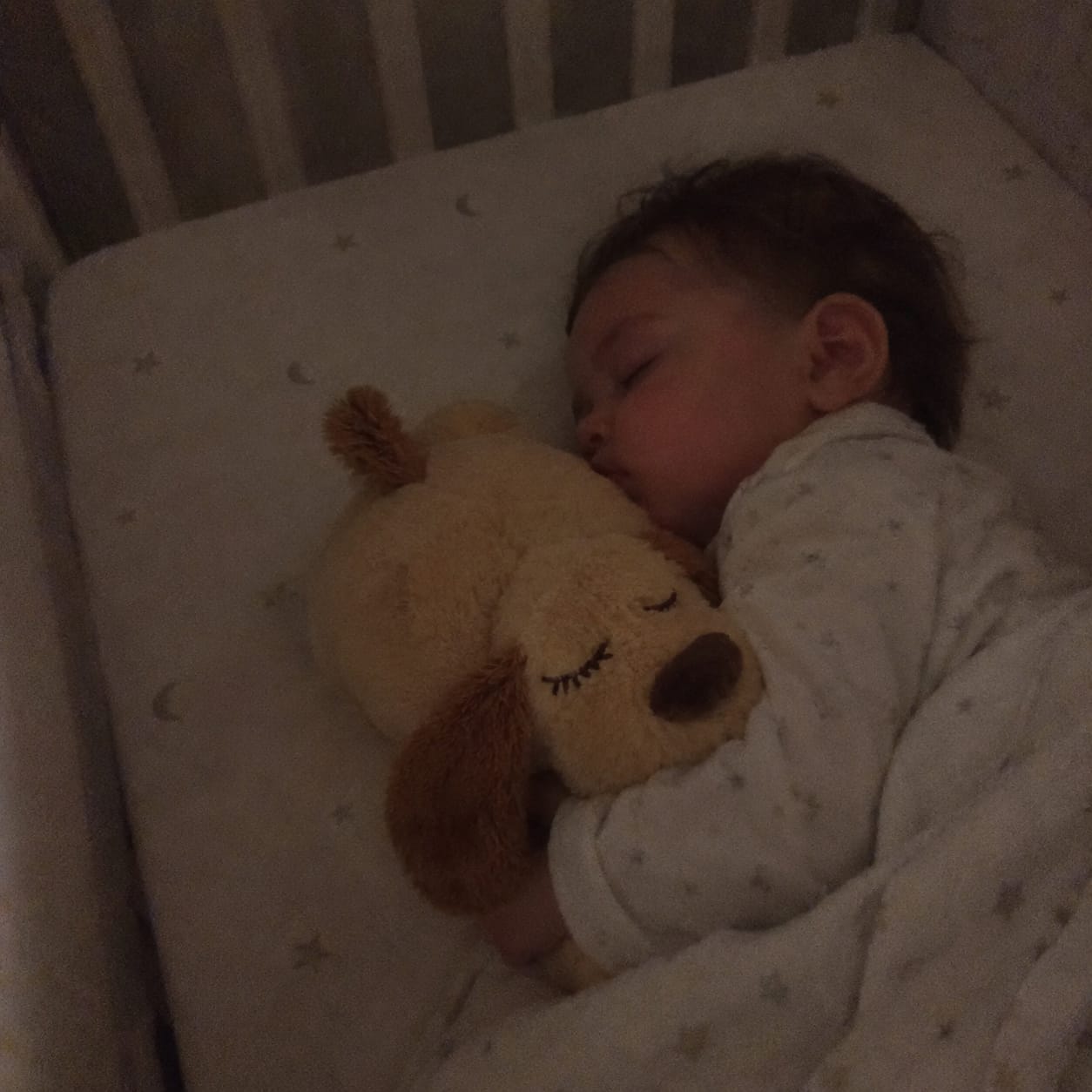Customer photo review of Luniva - Baby Heartbeat Comfort Plush