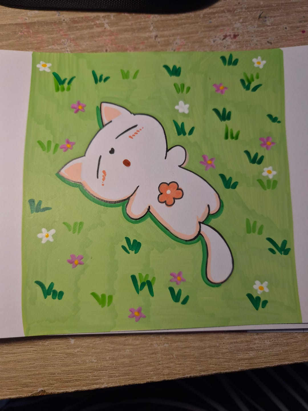 Customer photo review of Ohuhu Nahuku Direct-ink Acrylic Markers