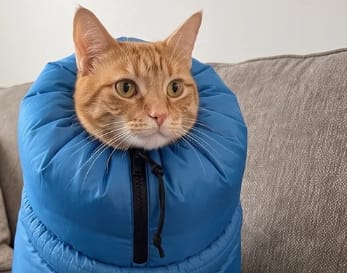 Customer photo review of Bolsa Secadora para Gatos