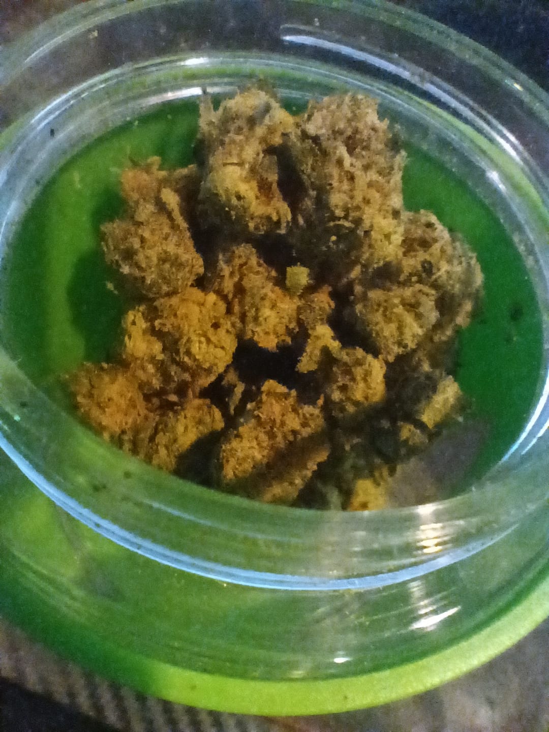 Customer photo review of Biscotti THCA Flower (Budget)