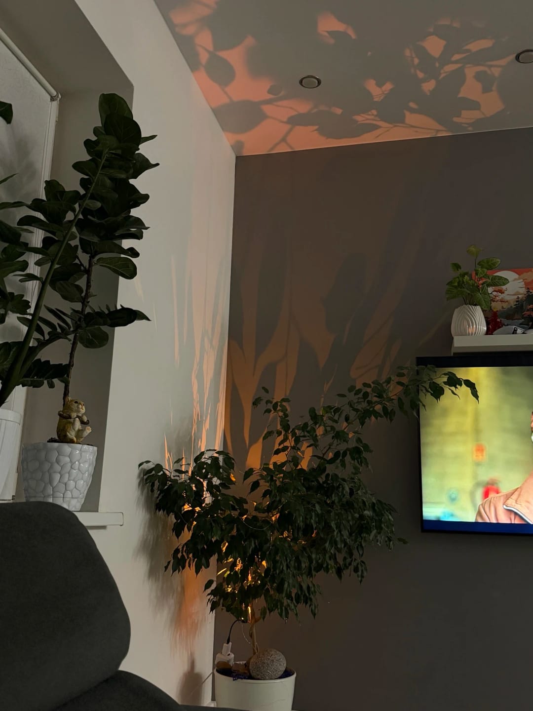 Customer photo review of Light Projector RGB