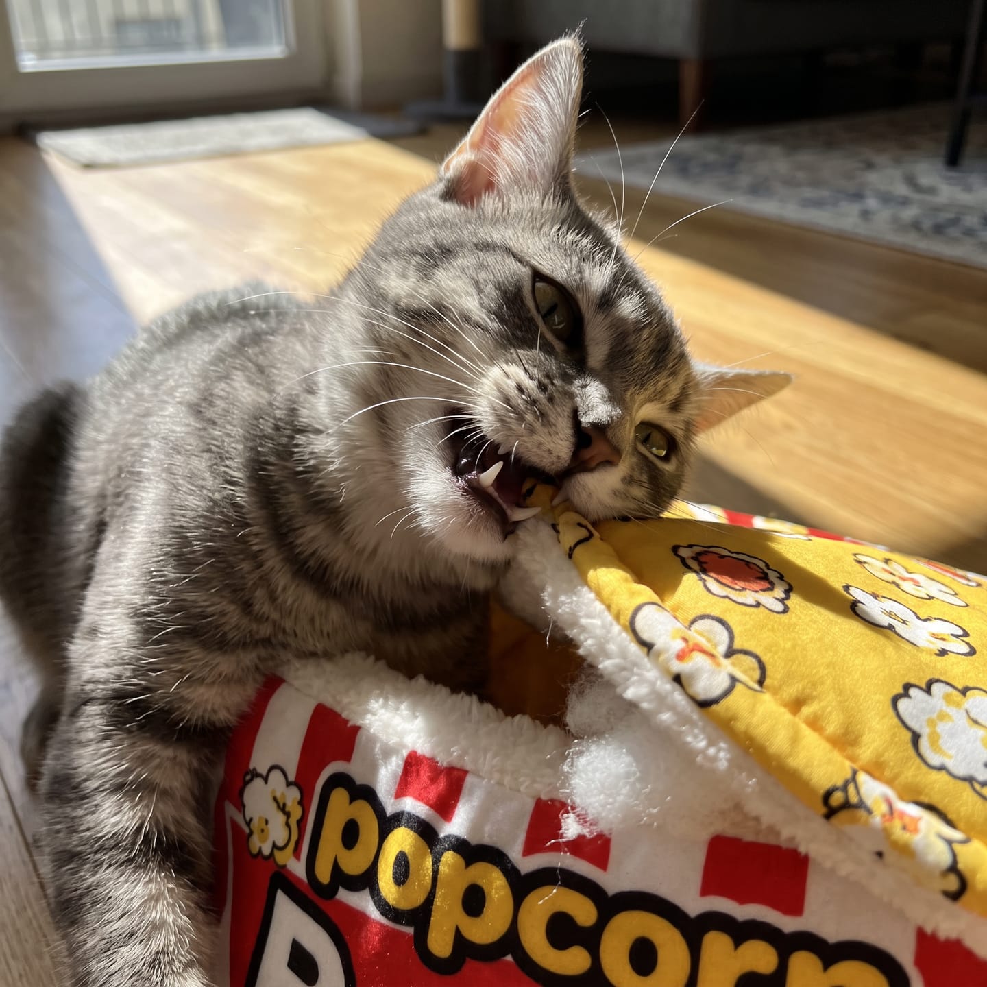 Customer photo review of Cama PopCorn para tu gato