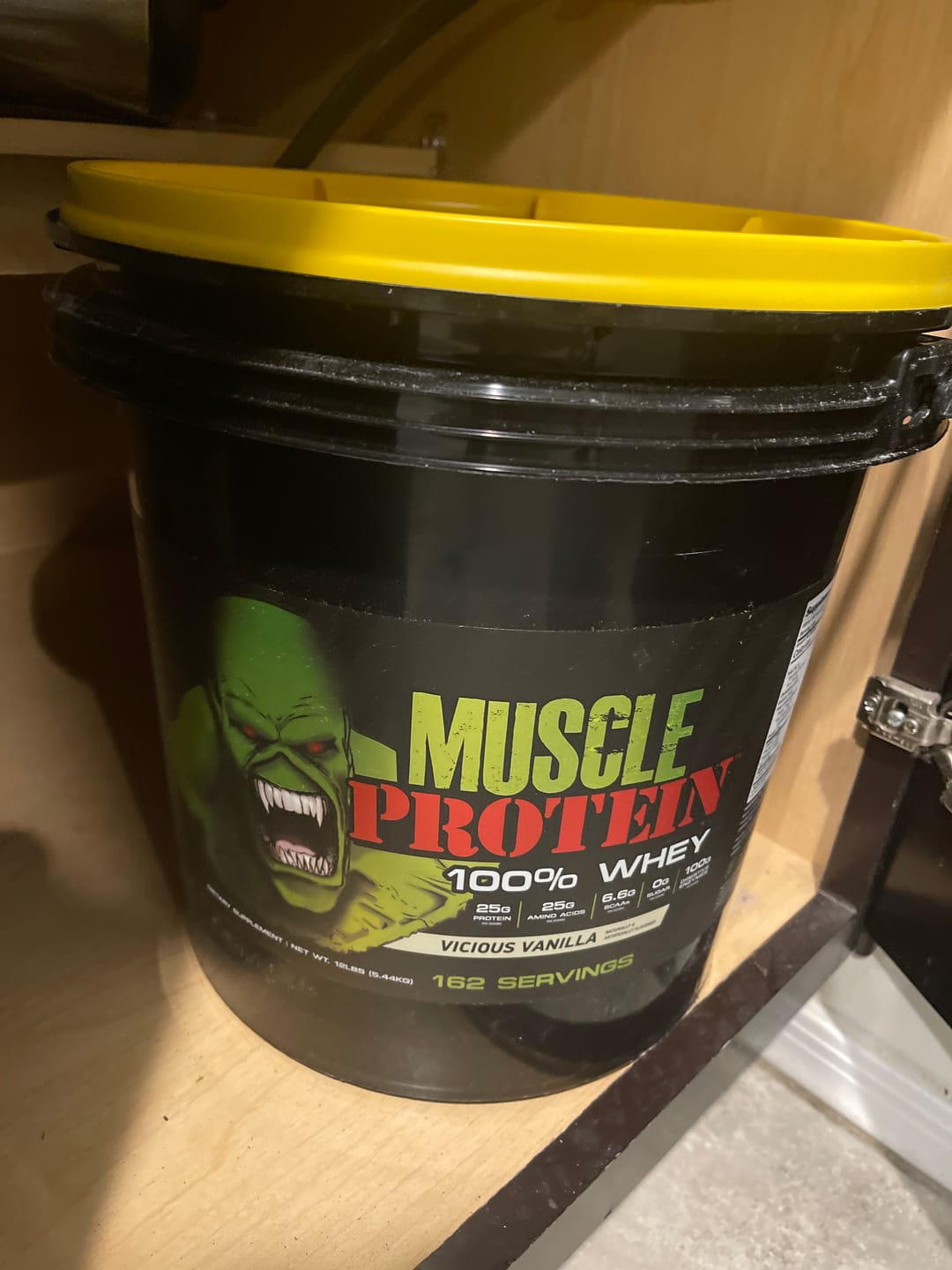 Customer photo review of Whey Protein Powder Bucket