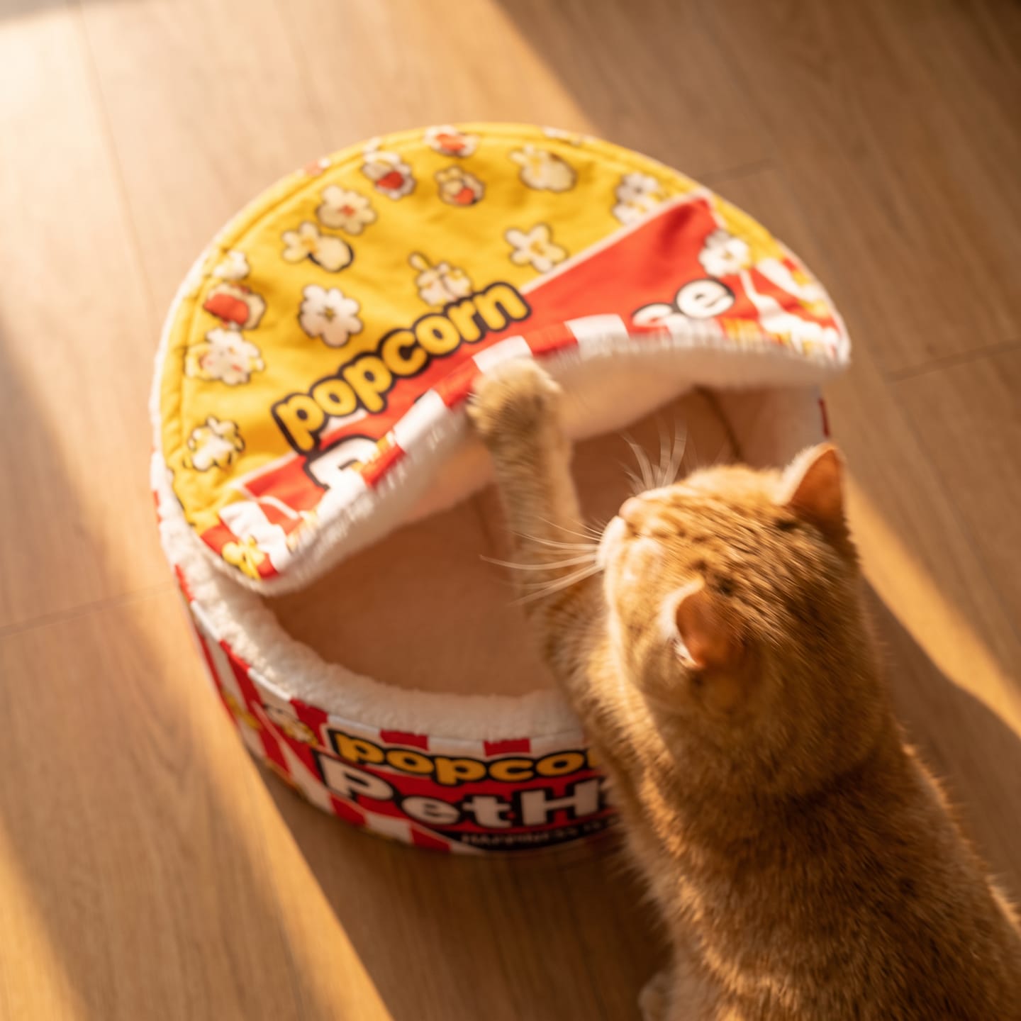 Customer photo review of Cama PopCorn para tu gato