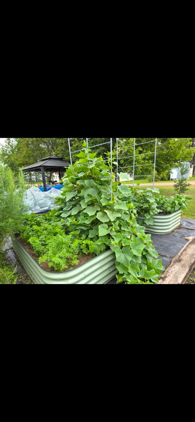 Customer photo review of Arch Garden Trellis