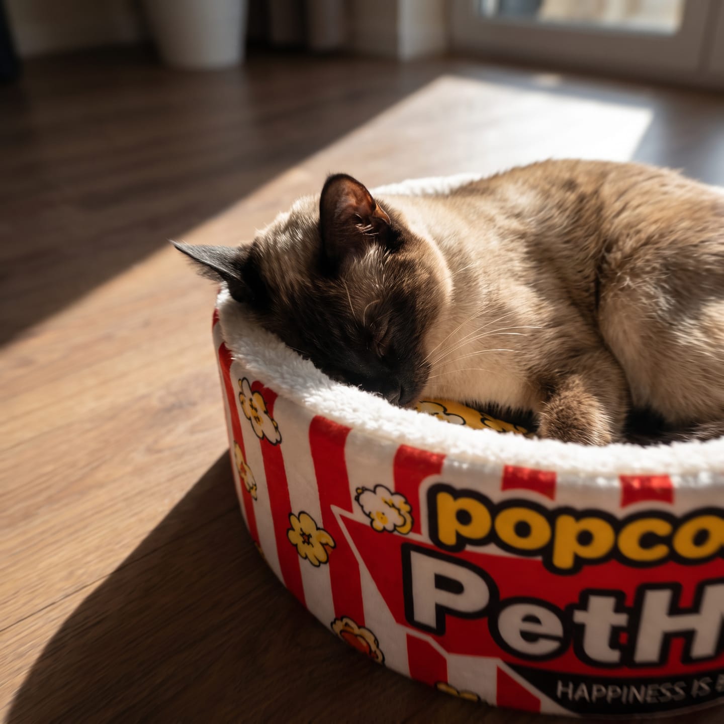 Customer photo review of Cama PopCorn para tu gato