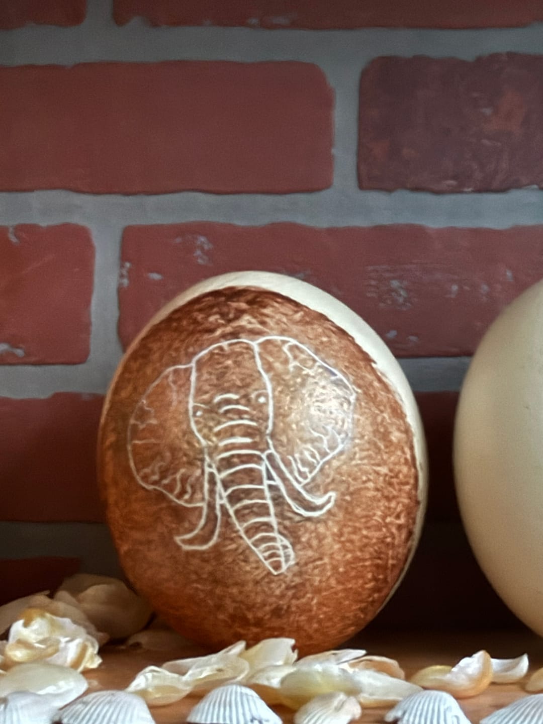 Customer photo review of Ostrich Egg Shell