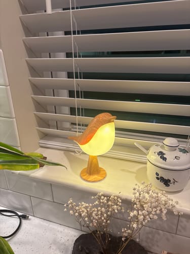 Customer's Glow Bird nightlight glowing with a soft light on a window sill next to a ceramic jar and floral sprig.