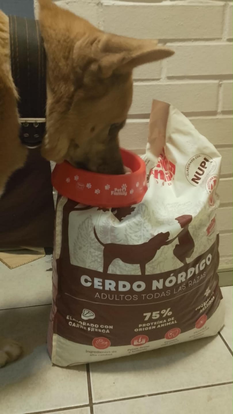 Customer photo review of PetFamily Foods Cerdo Nordico