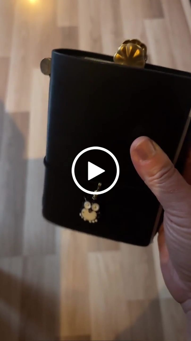 Customer video review of Traveler's Company Notebook Starter Set, Passport Size