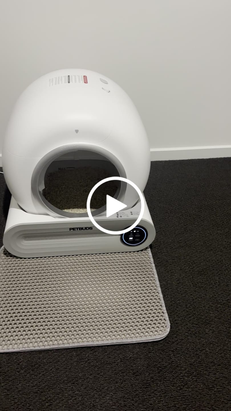 Customer video review of Petbuds™ Pro 2026 Automatic Self-Cleaning Litter Box