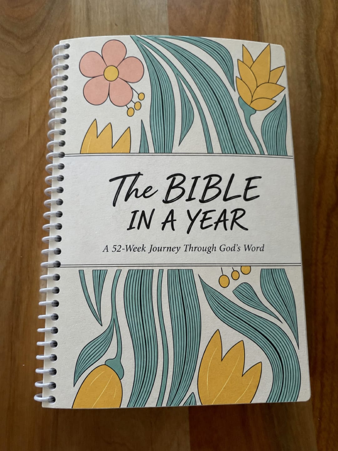 Customer photo review of The Daily Walk with Him: Bible in a Year