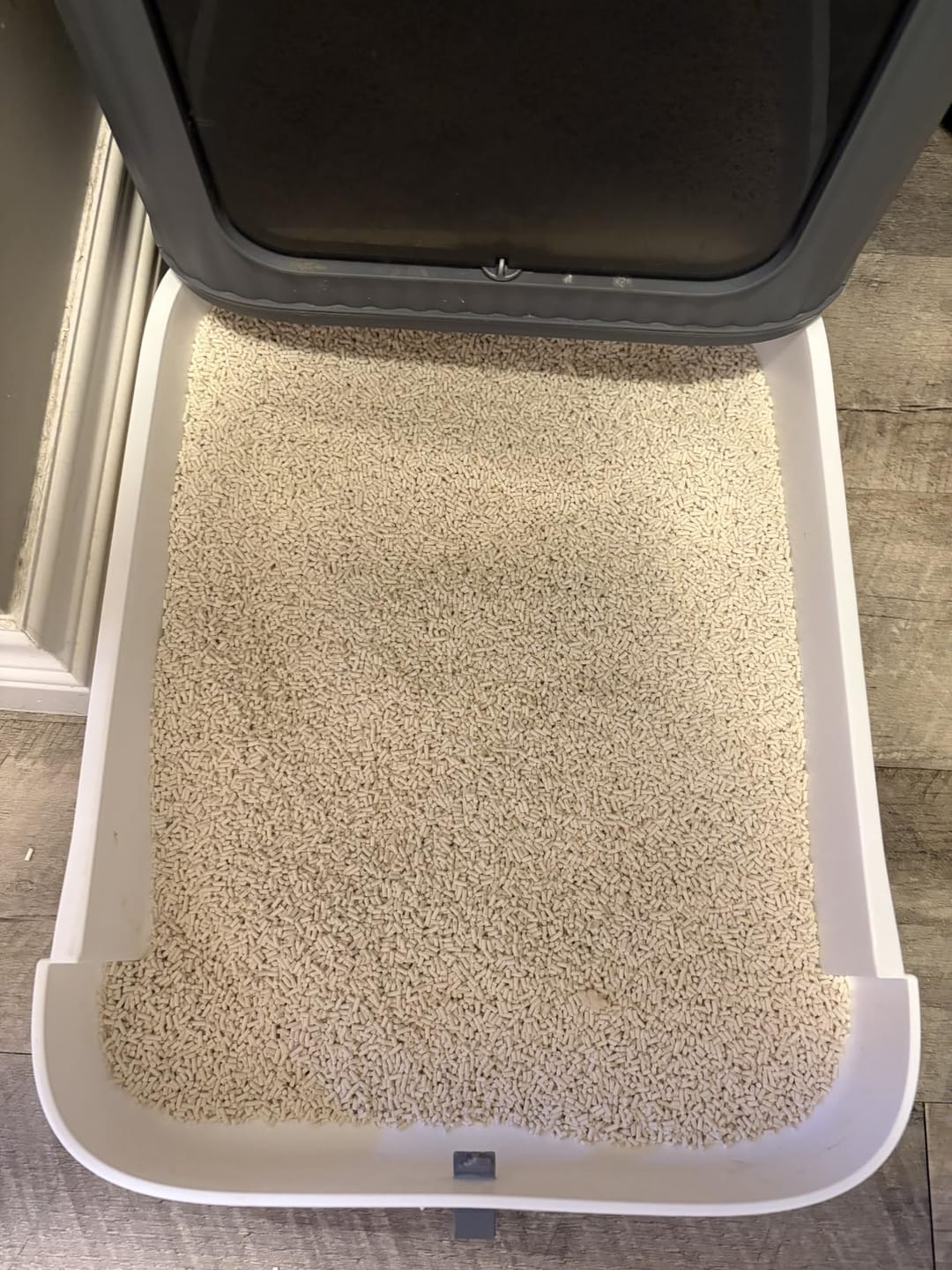 Customer photo review of Neakasa Pflanzliche Klumpstreu aus Tofu und Maniok – 2 × 2,7 kg