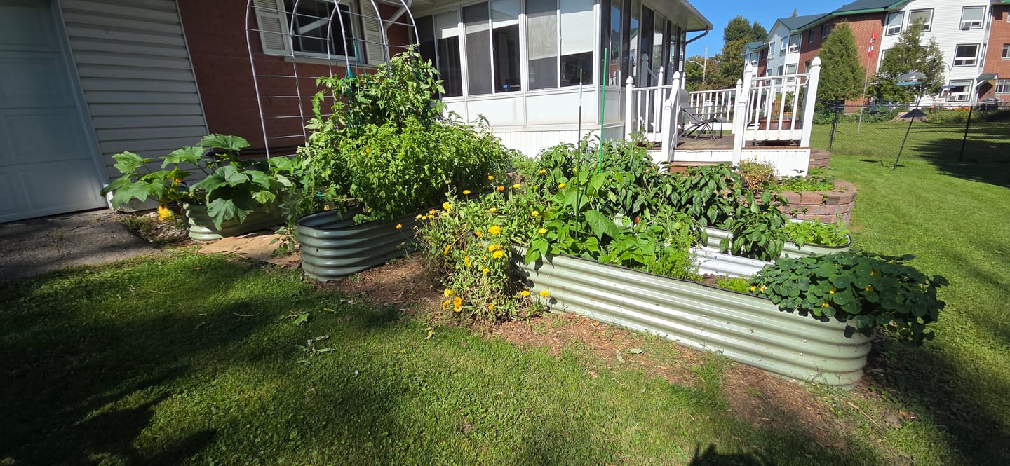 Customer photo review of Arch Garden Trellis