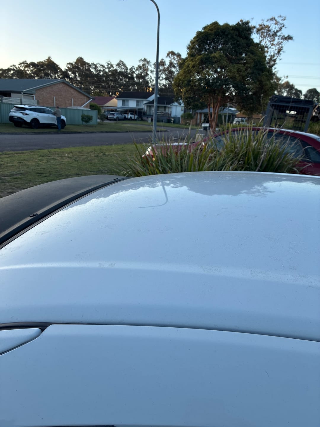 Customer photo review of Spray Coat