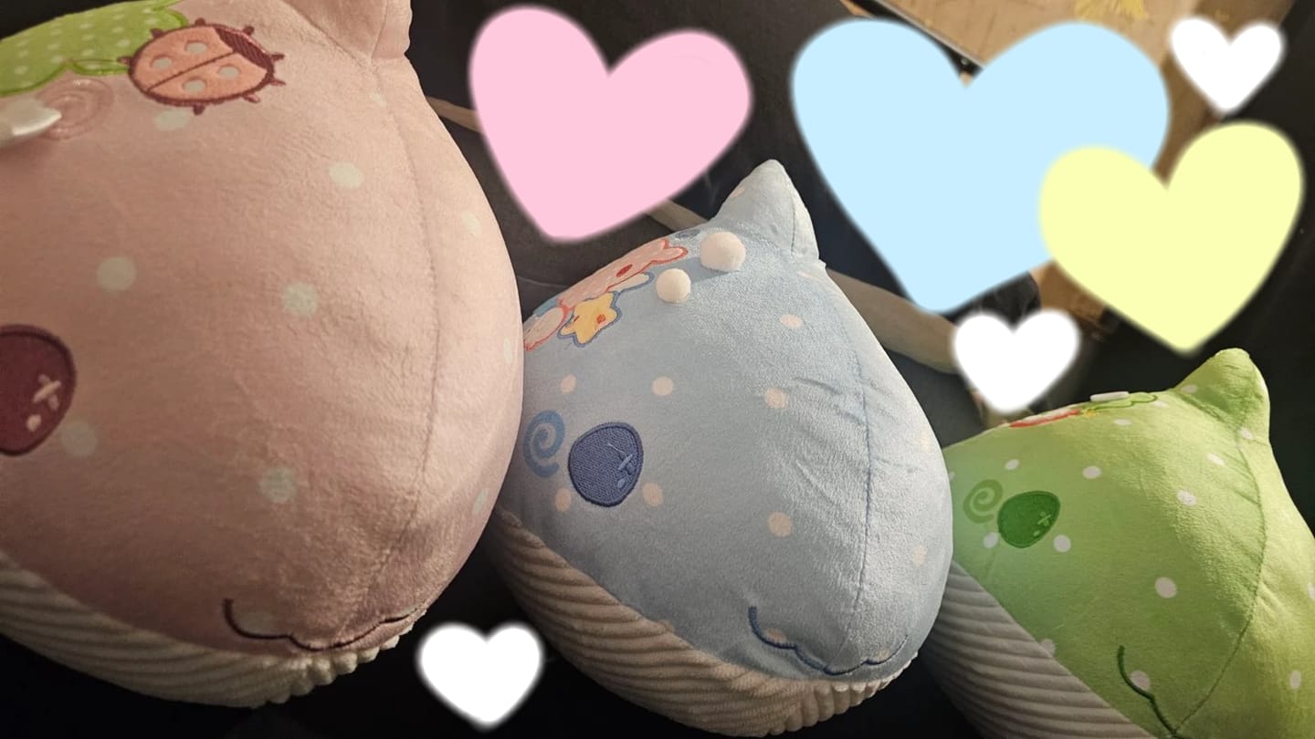 Customer photo review of Whimsy Whale Chark Plushie Set of 3!