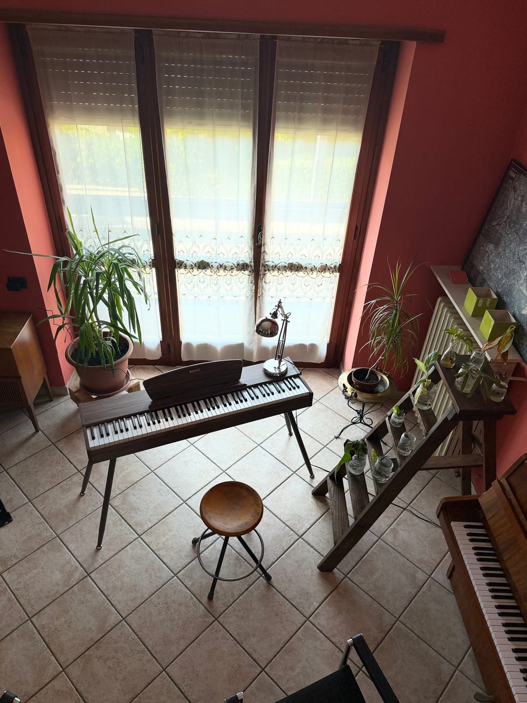 Customer photo review of Donner DDP-80 tastiera fully weighted in legno