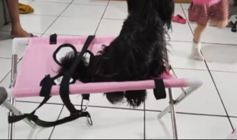 Customer photo review of Mesa Plegable para Cuidado de Mascotas