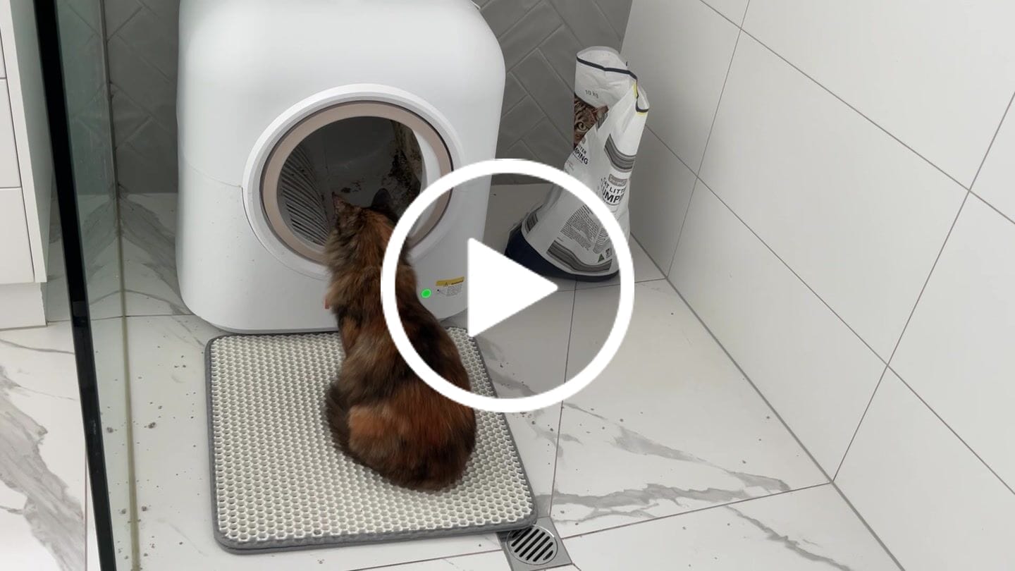 Customer video review of AutoClean Pro Automatic Self Cleaning Cat Litter Box