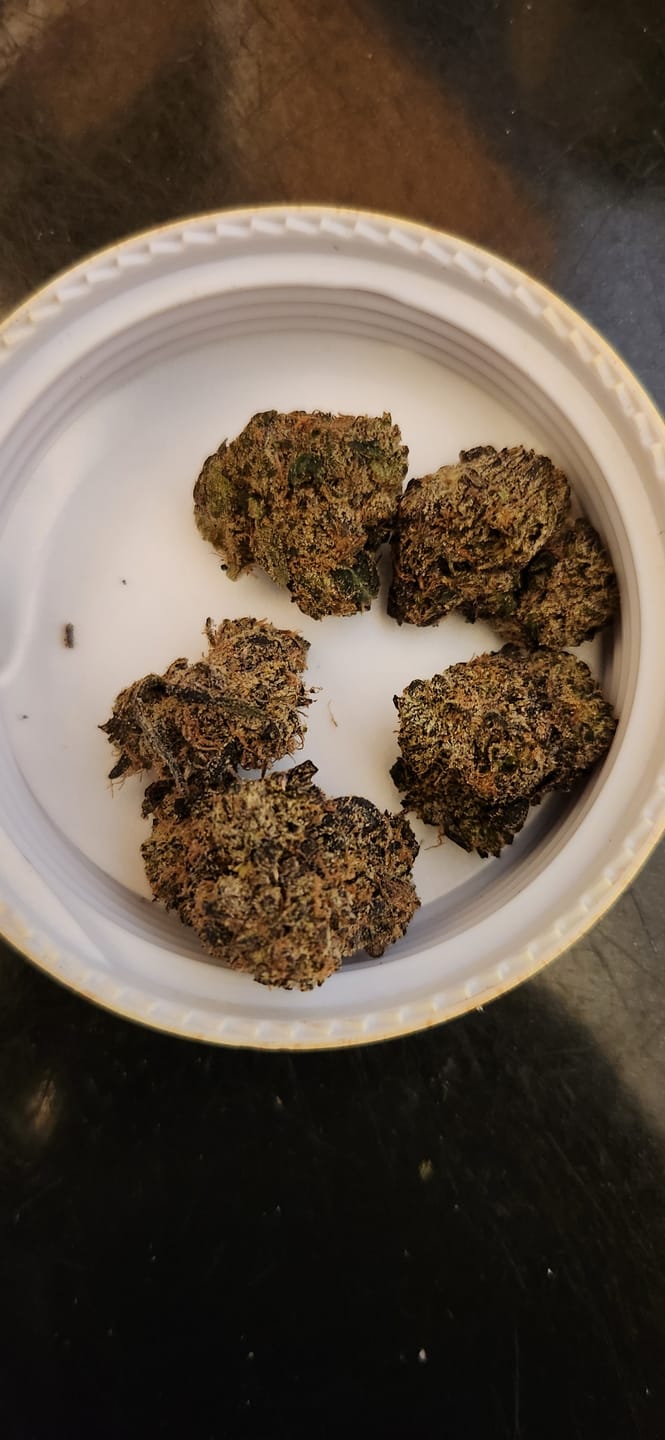 Customer photo review of Bacio Gelato 17 Grams