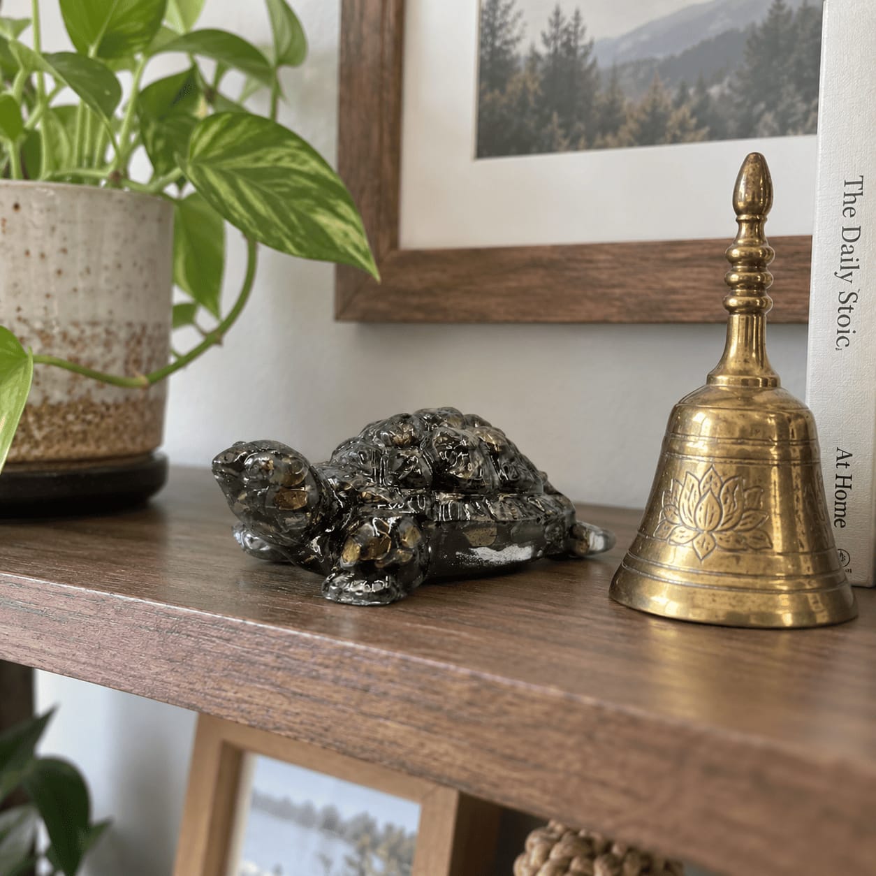 Customer photo review of Pyrite Tortoise Statue