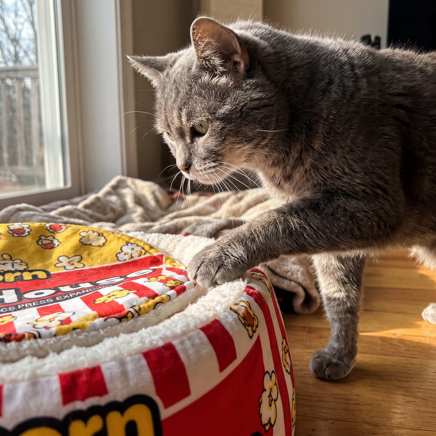 Customer photo review of Cama PopCorn para tu gato