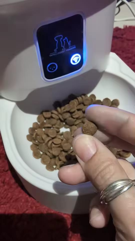 Customer photo review of PawFeed - WiFi Smart Pet Feeder