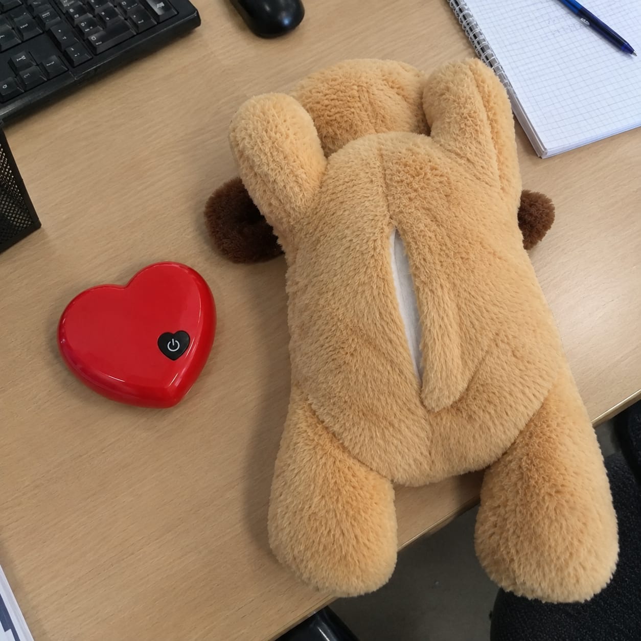 Customer photo review of Luniva - Baby Heartbeat Comfort Plush
