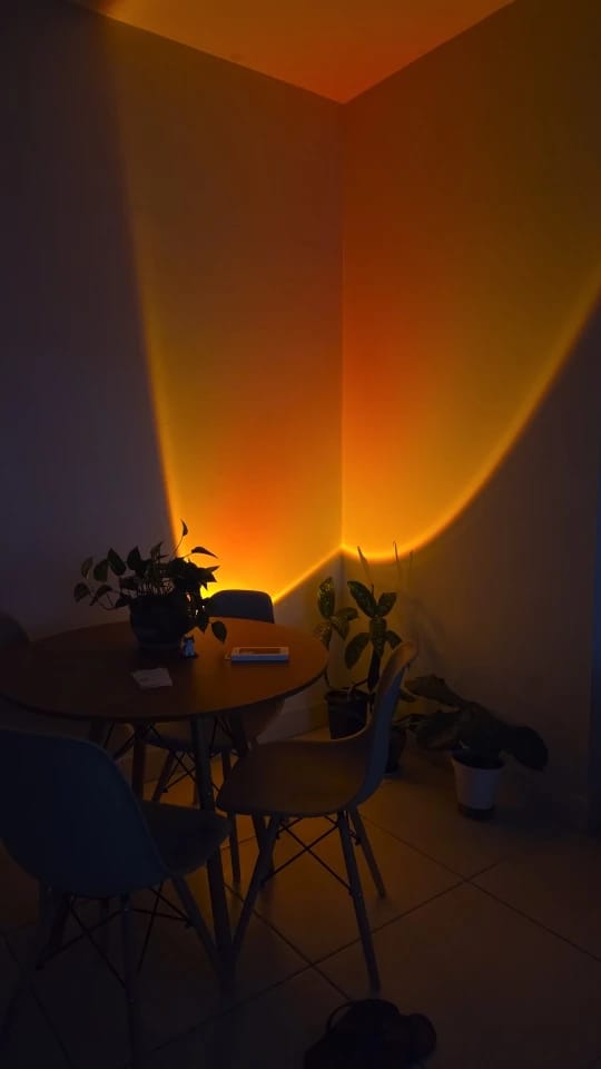 Customer photo review of Light Projector RGB