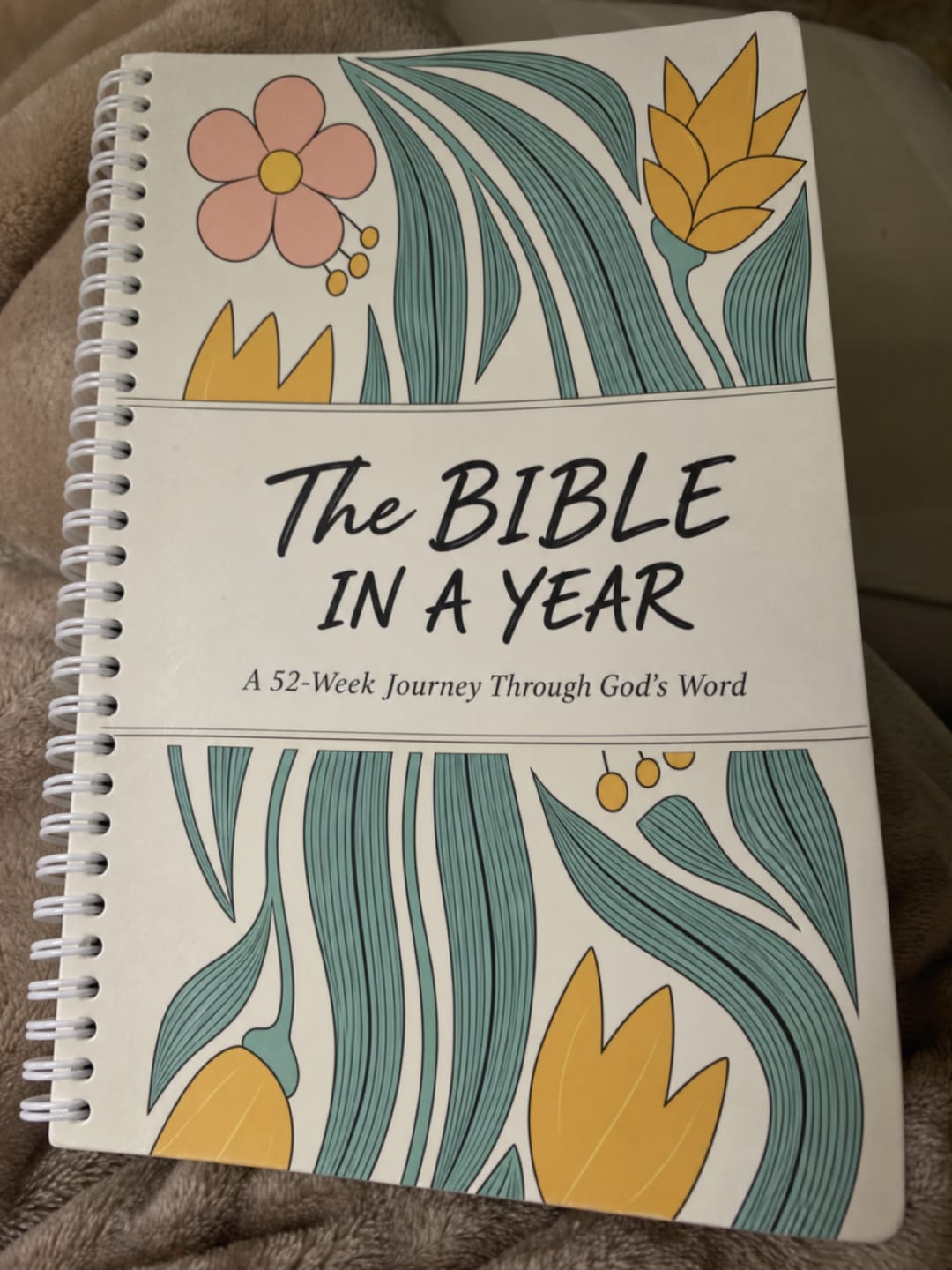 Customer photo review of The Daily Walk with Him: Bible in a Year