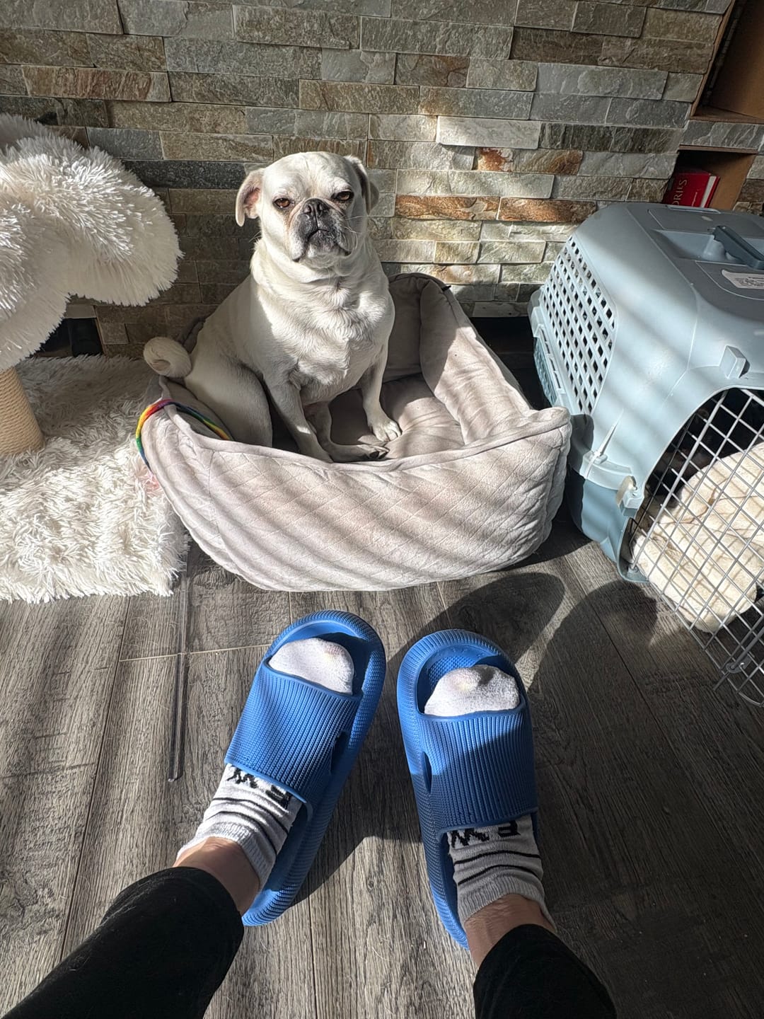 Customer photo review of Cloud Slides™ - Original Cushion Comfort