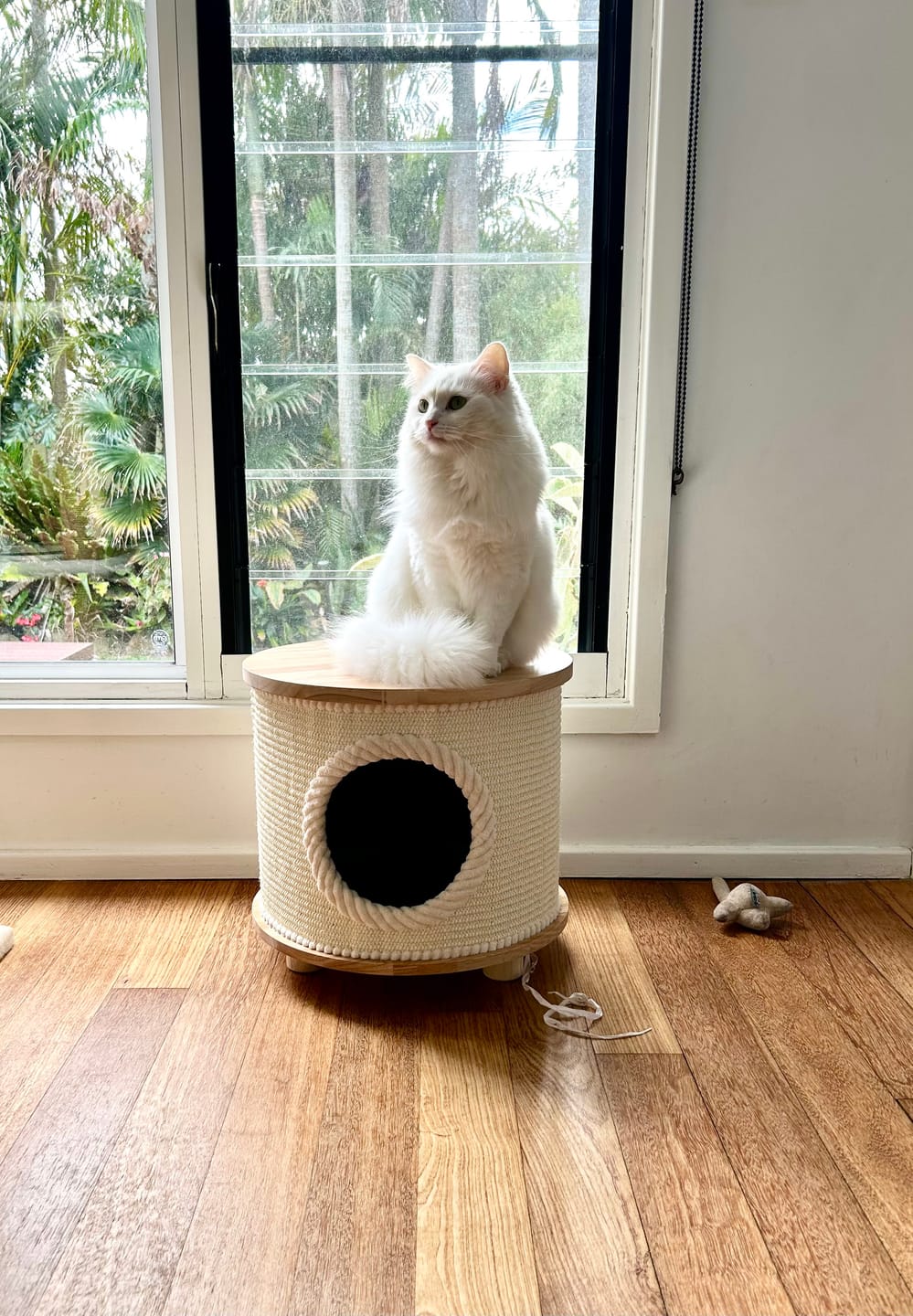 Customer photo review of Multifunctional Woven Sisal Cat House – Side Table or Stool