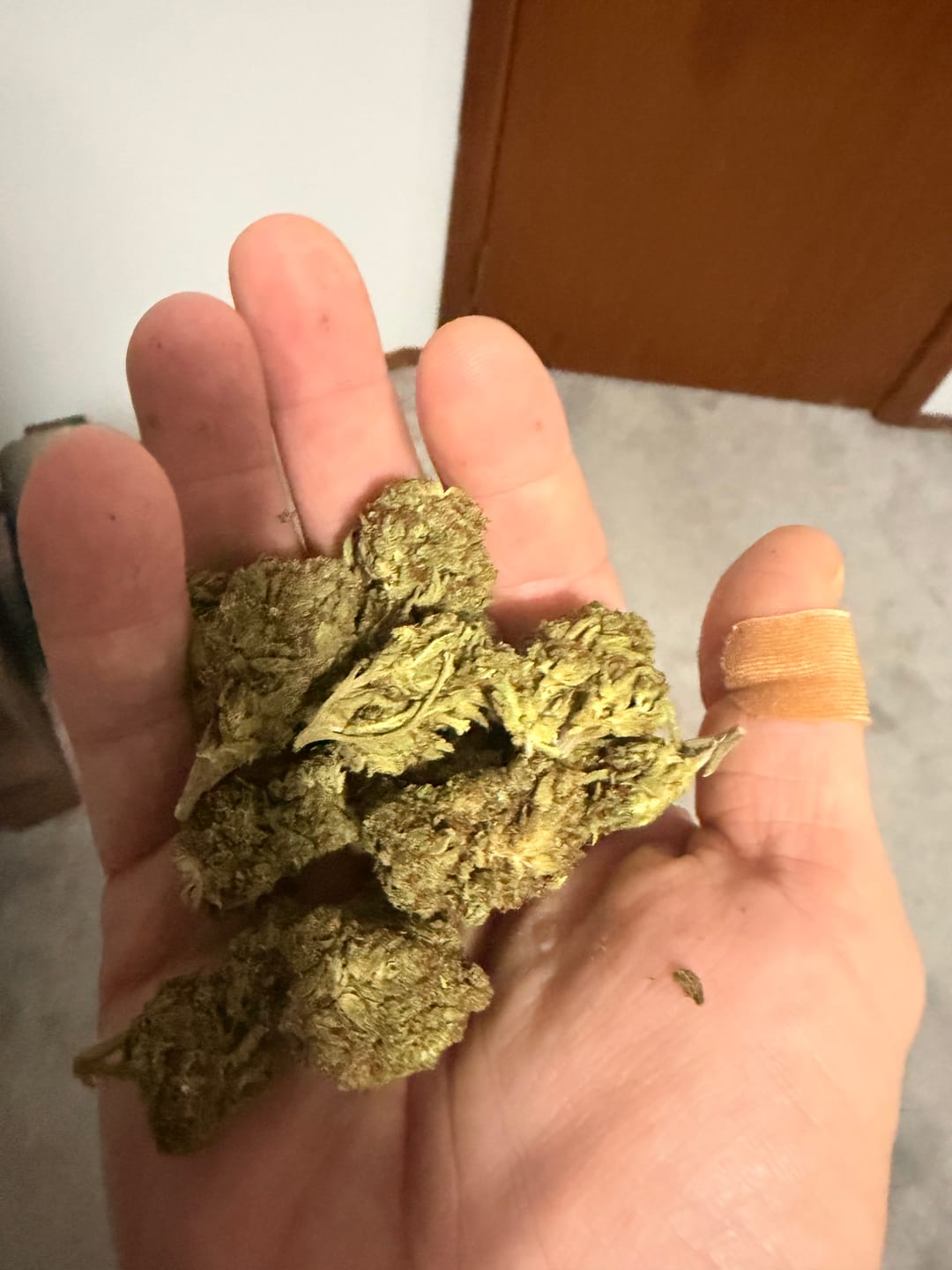 Customer photo review of Bruce Banner THCA Flower (Budget)