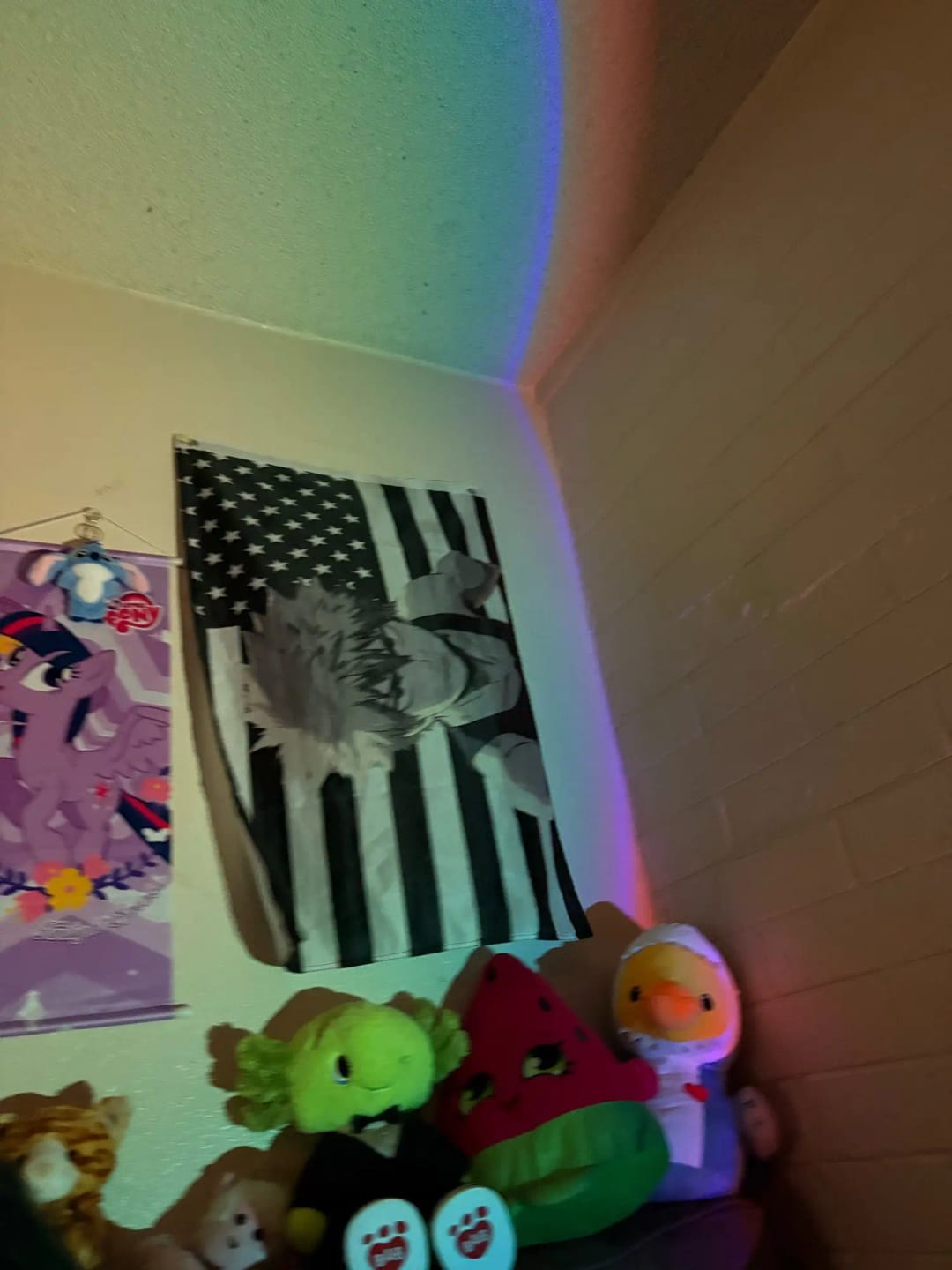 Customer photo review of Light Projector RGB
