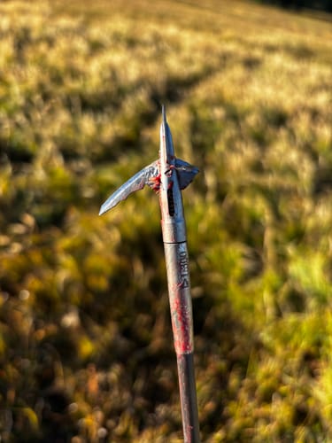 Customer photo review of Cut on Contact Titanium Broadheads (3 Pack)