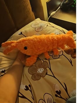 Customer photo review of Peluche langosta con movimiento para mascotas