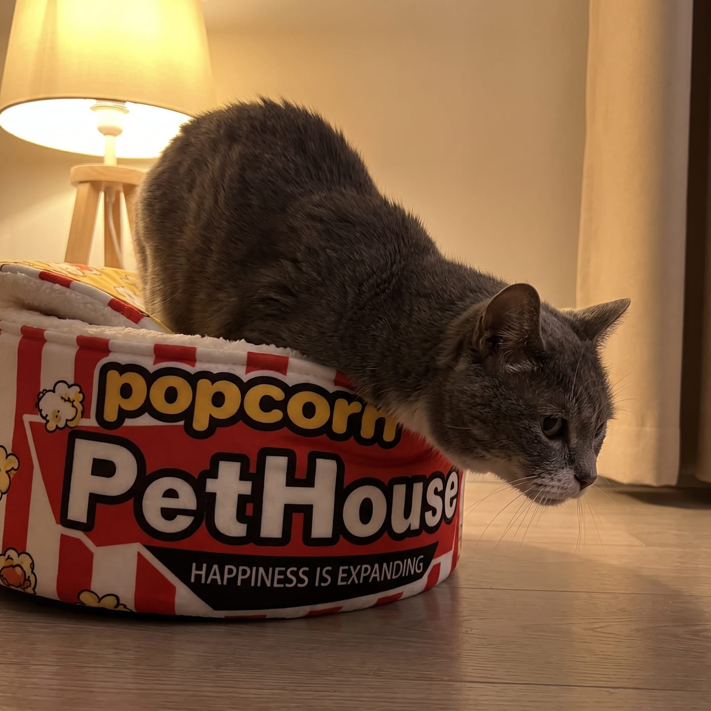 Customer photo review of Cama PopCorn para tu gato