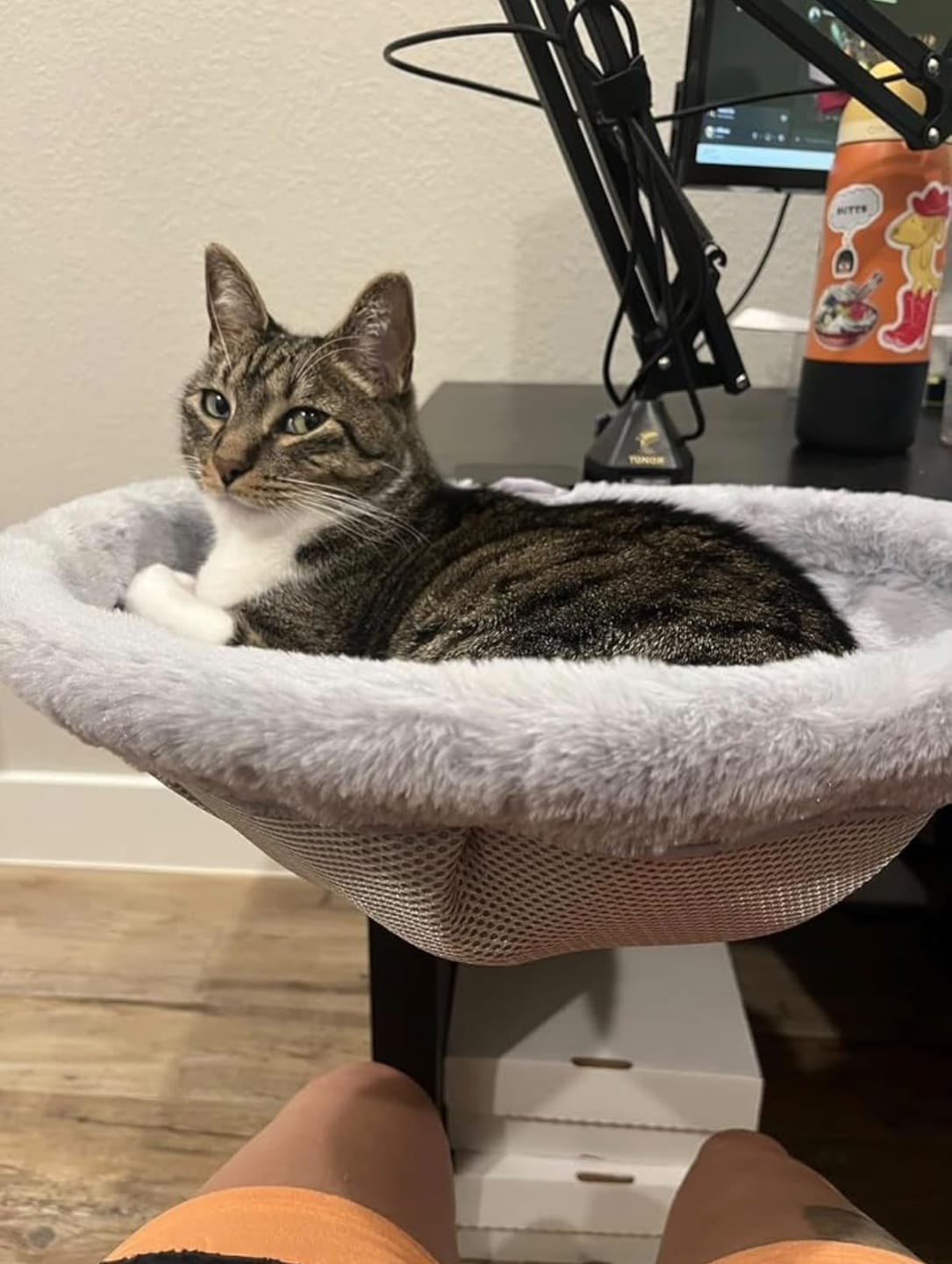 Customer photo review of FlotyCat® Desk Hammock