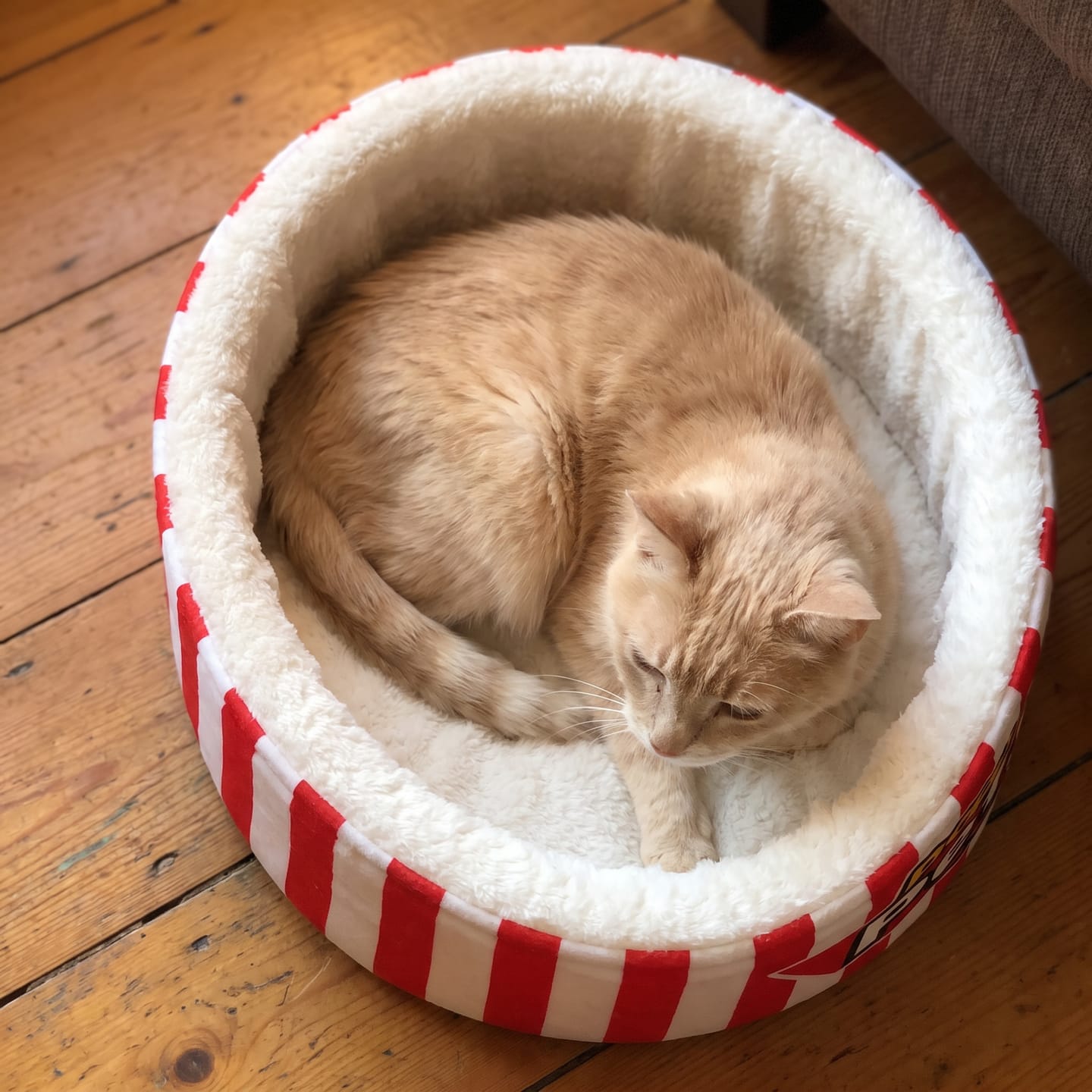Customer photo review of Cama PopCorn para tu gato